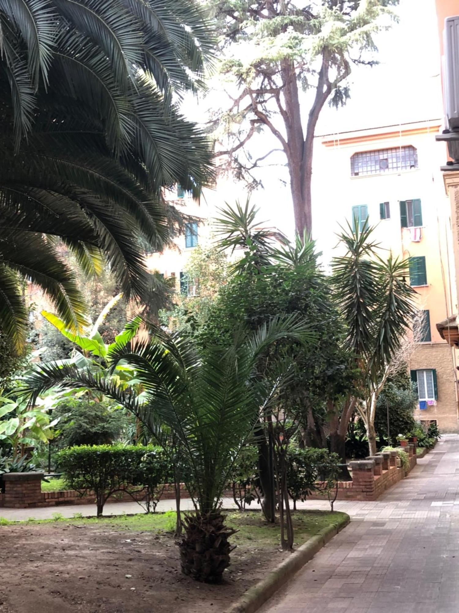 Vatican 3th Floor Apartment Rome